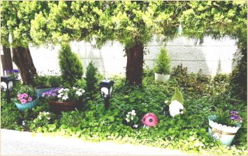 華輝光デンタルクリニック（華輝光DentalClinic・はなきひかるデンタルクリニック）- 静岡市清水区の歯科医院（審美歯科）入り口写真